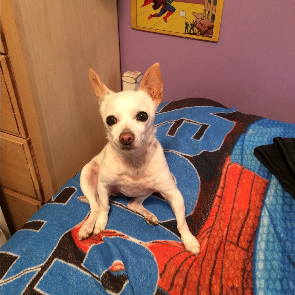 Meet your Posher, Kylee